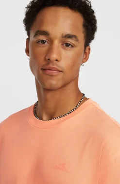 HerenO'Neill Small Logo T-shirt| Oranje