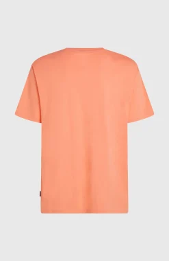 HerenO'Neill Small Logo T-shirt| Oranje