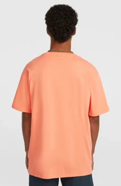 HerenO'Neill Small Logo T-shirt| Oranje