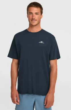 HerenO'Neill Small Logo T-shirt| Blauw