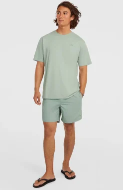 HerenO'Neill Small Logo T-shirt| Groen