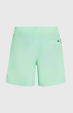 HerenO'Neill Vert 16'' zwembroek| Groen