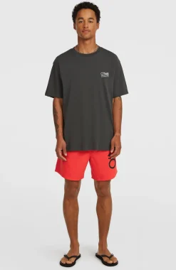 HerenOriginal Cali T-shirt| Grijs