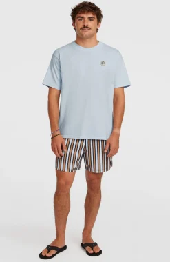 HerenO'Riginals Vintage Graphic T-shirt| Blauw