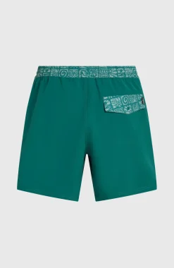 HerenPocket Print 16'' zwembroek| Groen
