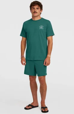HerenPocket Print 16'' zwembroek| Groen
