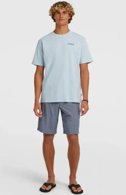 HerenPolygiene Cotton Graphic T-shirt| Blauw