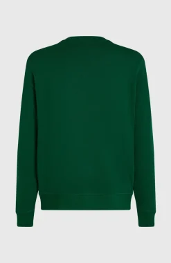 HerenSmall Logo Crew sweater| Groen
