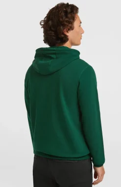HerenSmall Logo hoodie| Groen