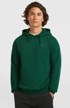 HerenSmall Logo hoodie| Groen