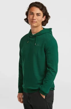 HerenSmall Logo hoodie| Groen