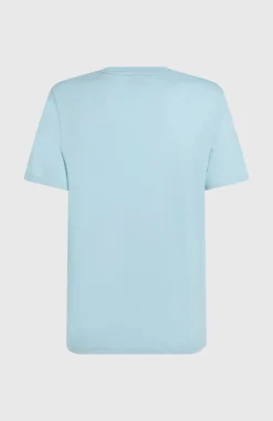 HerenStripe T-shirt| Blauw