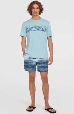 HerenStripe T-shirt| Blauw