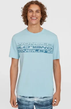 HerenStripe T-shirt| Blauw