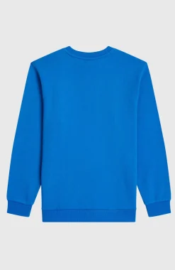 KidsCali Crew sweater| Blauw
