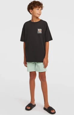 KidsChino short| Groen
