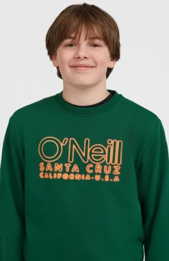 KidsEssentials Crew sweater| Groen