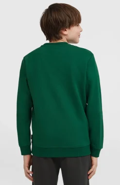 KidsEssentials Crew sweater| Groen