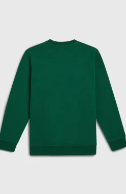 KidsEssentials Crew sweater| Groen