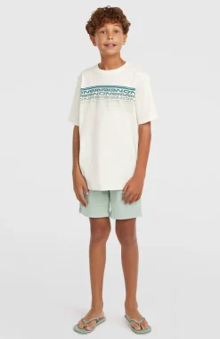 KidsO'Neill Logo Stripe T-shirt| Wit