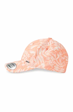Seacoast pet| Oranje