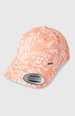 Seacoast pet| Oranje